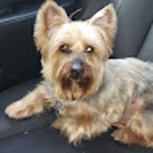 Meet your Posher, Sonya